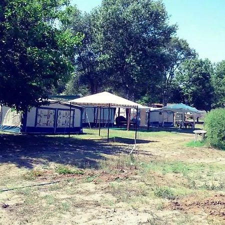 Camping