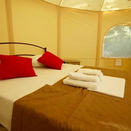Camping