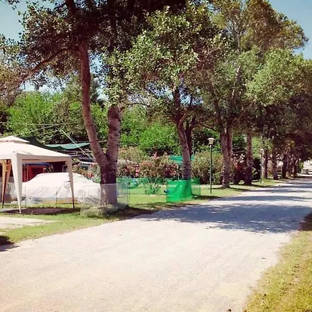 Camping