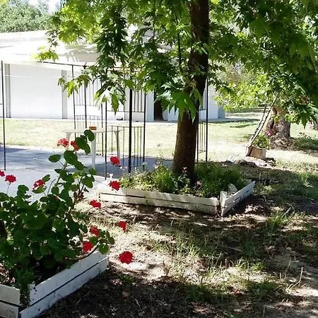 Camping Luxury tent Paliouri